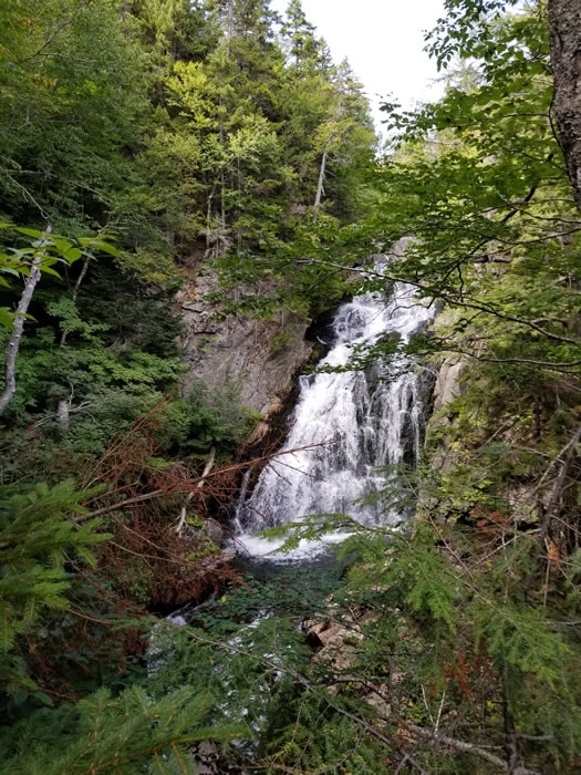 Tuckermans Trails - waterfall cascading through forested gorge